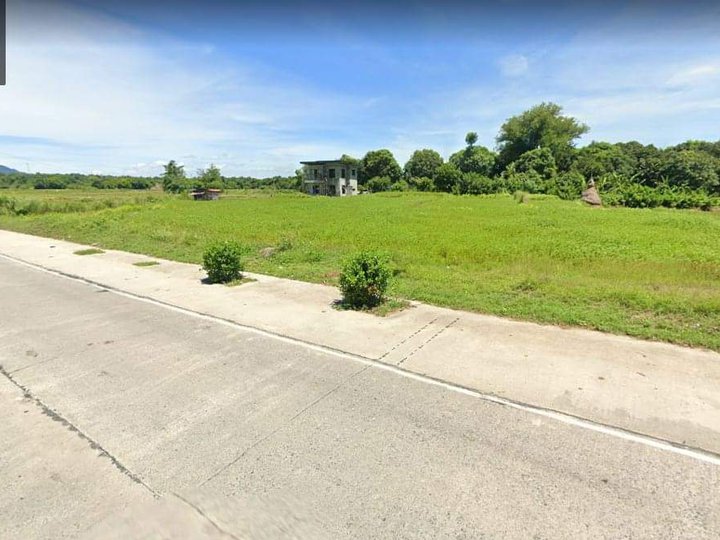 36000 sqm Residential/Commercial Lot For Sale in Rosales Pangasinan