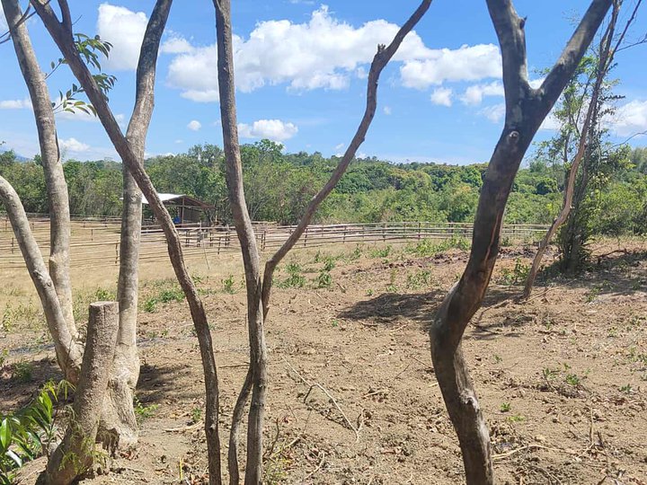 LOT FOR SALE 150 SQM, 3YRS TO PAY TANAY RIZAL