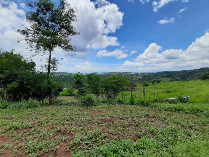8.1 Hectares Agricultural Farm for Sale in Tanay,Rizal