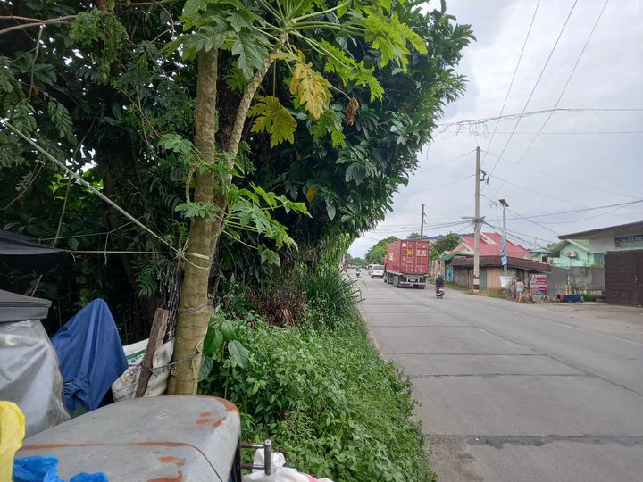 2.2 hectares commercial lot for sale Sta.Maria Bulacan along highway