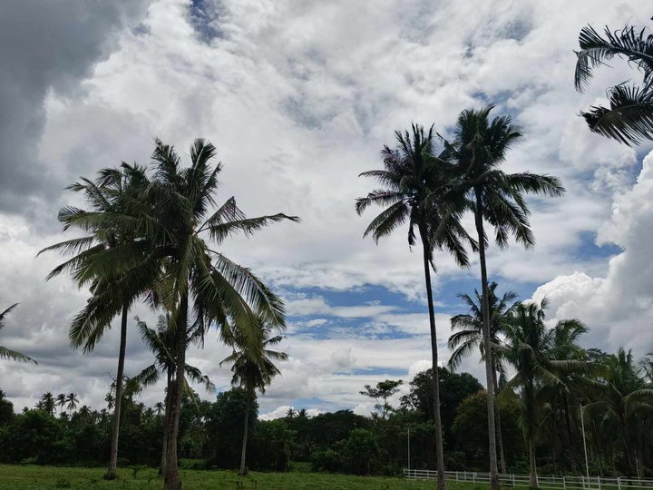 Farm Lot Near Marcial Punzalan Road