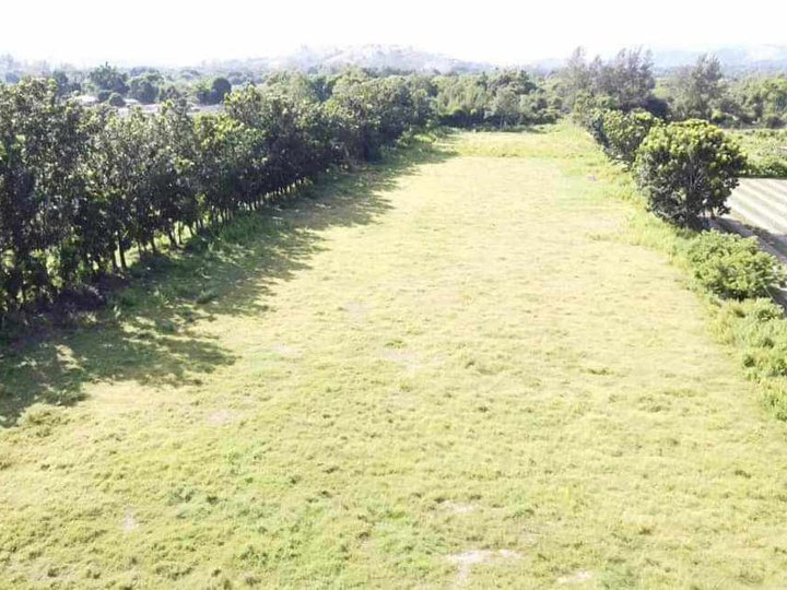 267 sqm Farm Lot For Sale in Castillejos Zambales