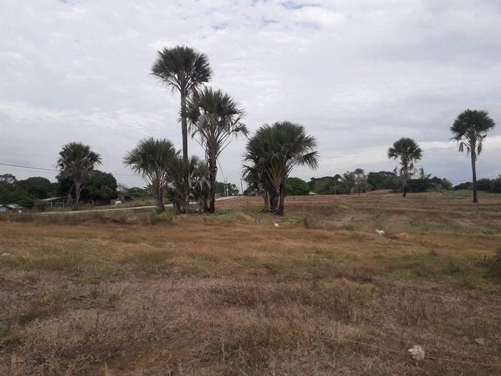 130000 sqm Residential Lot For Sale in Malasiqui Pangasinan