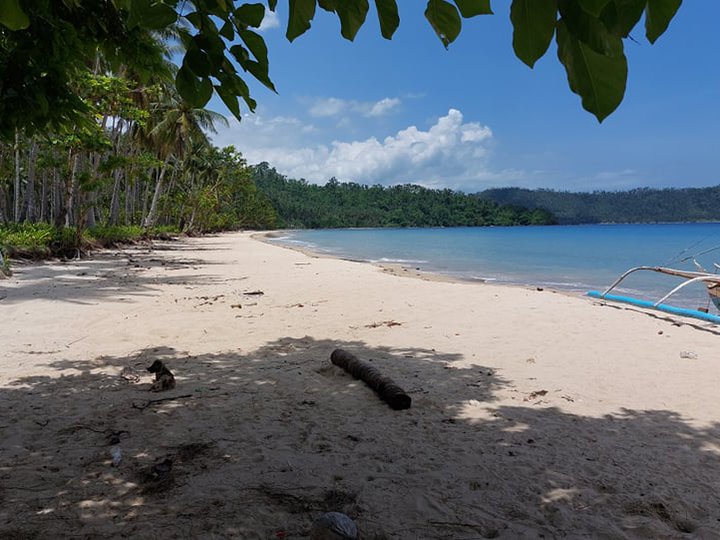 1 hectare Beach Property For Sale in Puerto Princesa Palawan