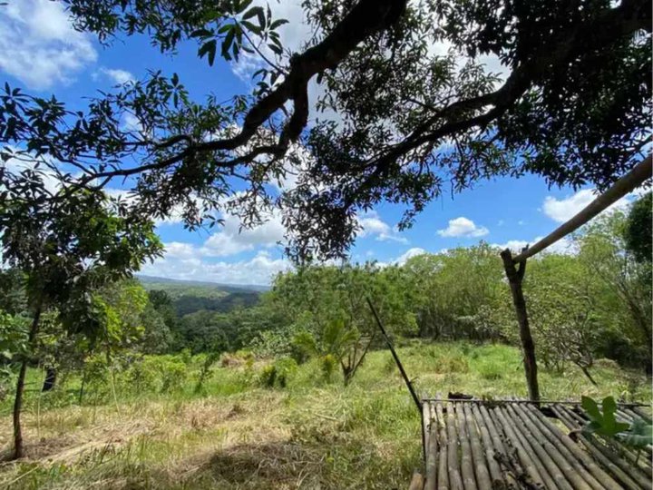 TITLED FARM LOT FOR SALE IN TANAY RIZAL