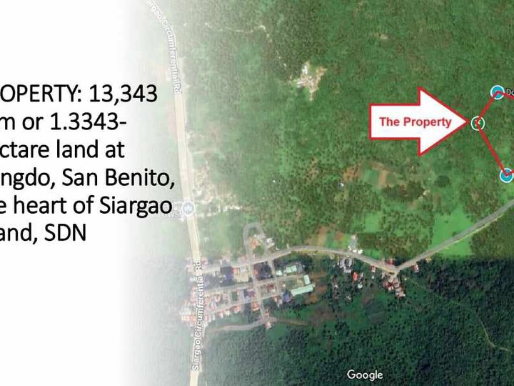 13,343 sqm Residential Farm for Sale in Siargao Island.