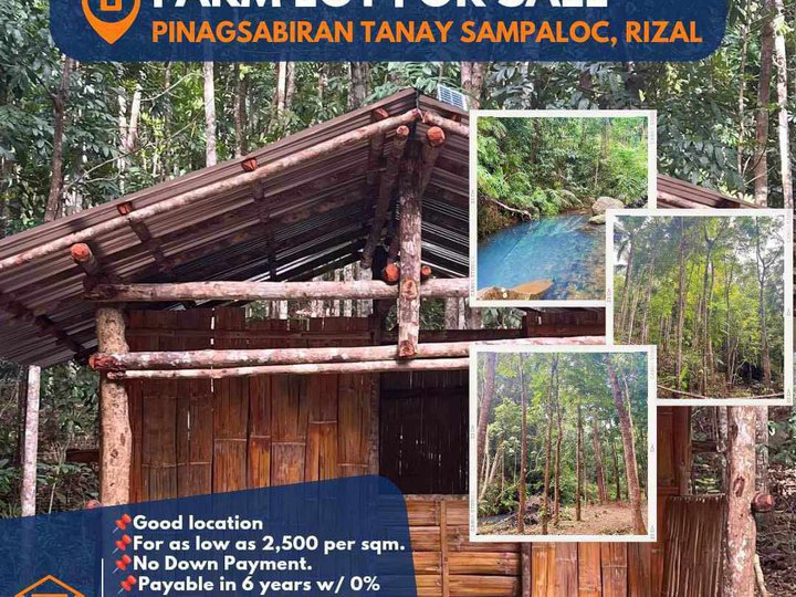 Farm Lot in Tanay, Rizal. For as low as 2,500 per sqm.