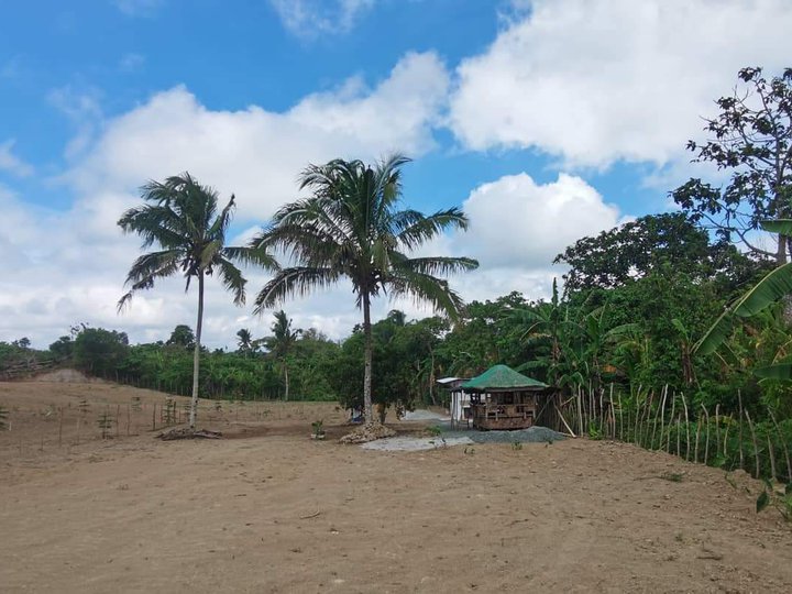 277 sqm Residential Farm For Sale In Silang Cavite