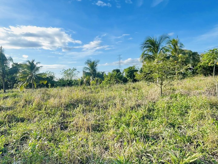 Rawland Farmlots  fruit bearing lands subdivided minimum cut 100sqm