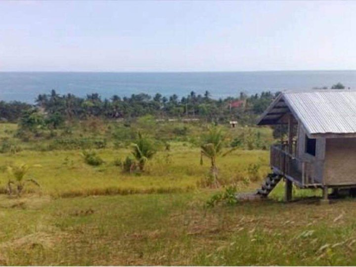 Overlooking Lot for Sale PPC, Palawan