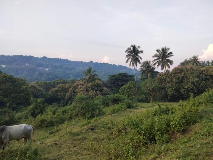 Affordable Residential farm lot for sale in Batanggas city