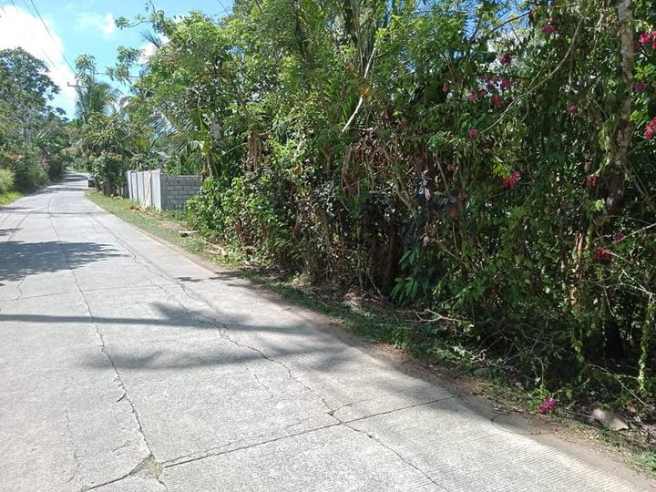 2100sqm. Lot for Sale Indang, Few minutes to Tagaytay City