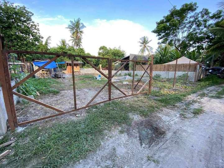 300 sqm Residential Lot for Sale in City of Naga Cebu