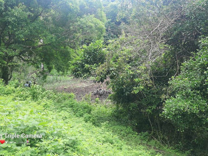 Selling this 2.1 hectares agricultural lot good for farming, quarry mining or residential. Titled.