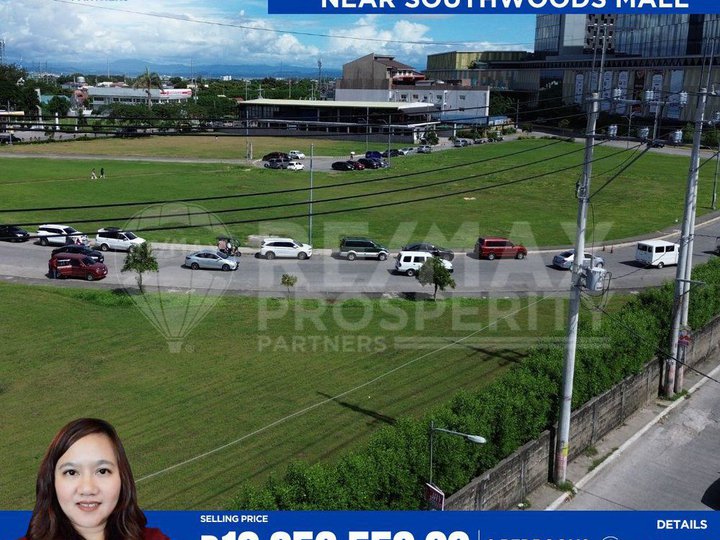 240 sqm Southwoods City Binan Residential/Commercial Lot