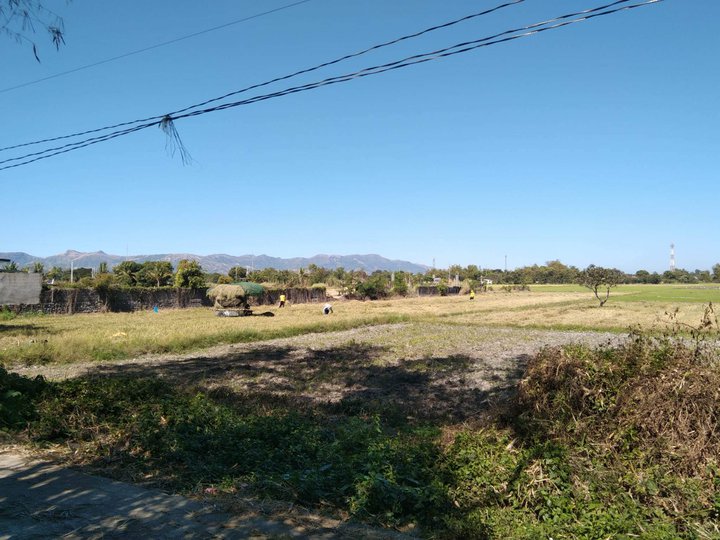 17823 sqm Raw Land For Sale in Bugallon Pangasinan