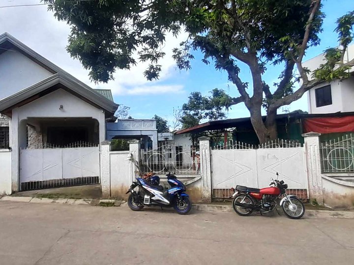 House and lot for sale Los Banos laguna