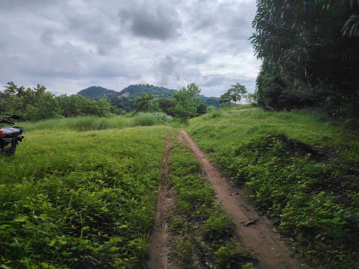 8.7 hectares Agricultural Farm For Sale in Umingan Pangasinan