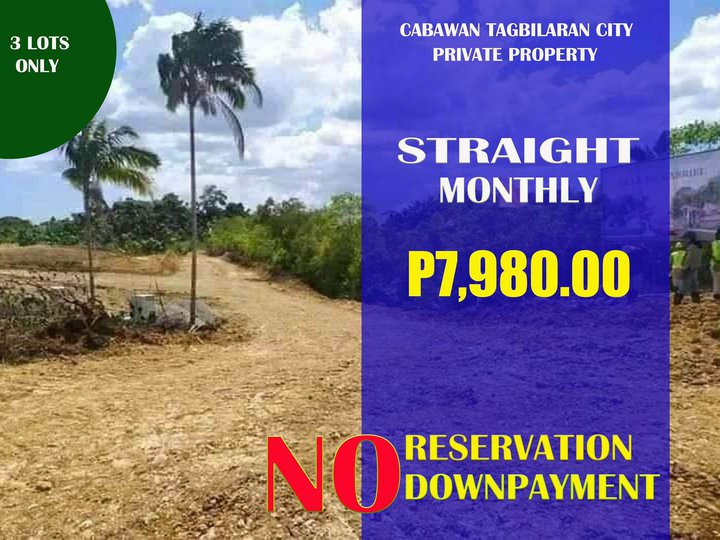 80 sqm Raw Land For Sale in Cabawan Tagbilaran Bohol