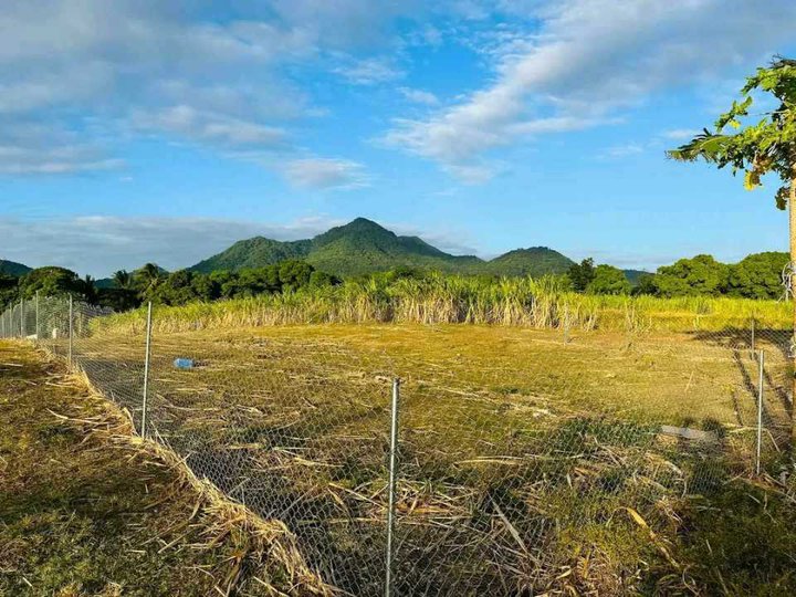 400 sqm Residential Farm For Sale in Nasugbu Batangas