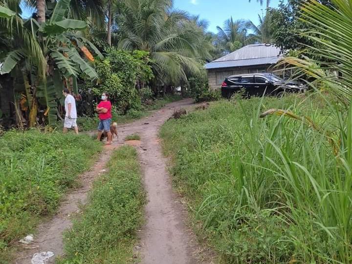 Lot for sale 16,386 sq/m in Combado Bacong Negros Oriental