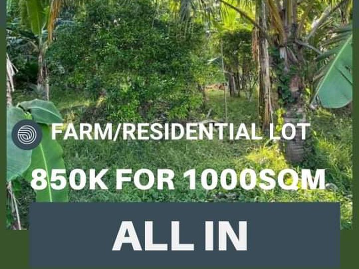 Affordable Farm/Residential Lot in Tiaong Quezon