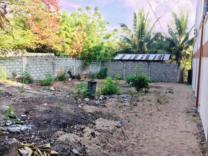 BEACH LOT FOR SALE Lobo, Batangas [Beach Property 🏖️] (May 2023) in