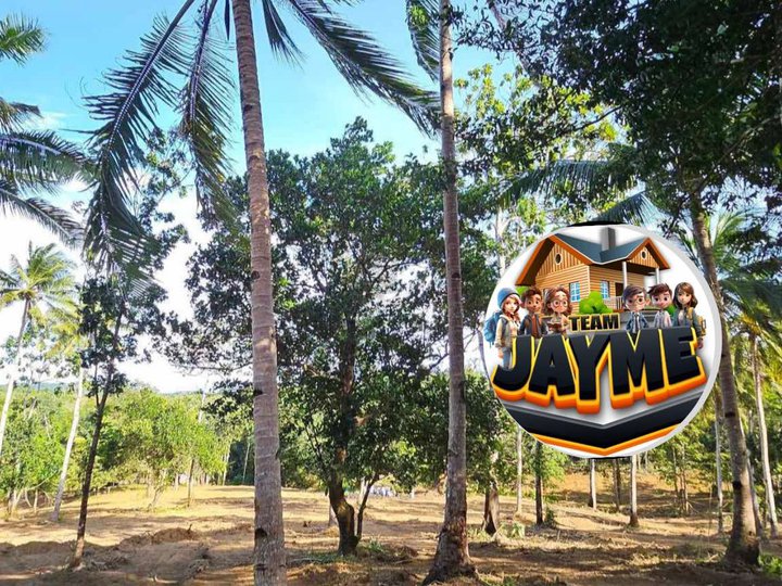 lot for sale in ravina guimaras