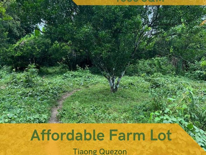 1000 sqm Agricultural Farm For Sale in Tiaong Quezon