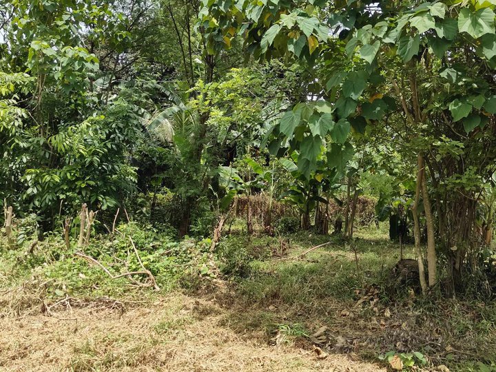 100 sqm fram lot for sale in Norzagaray bulacan