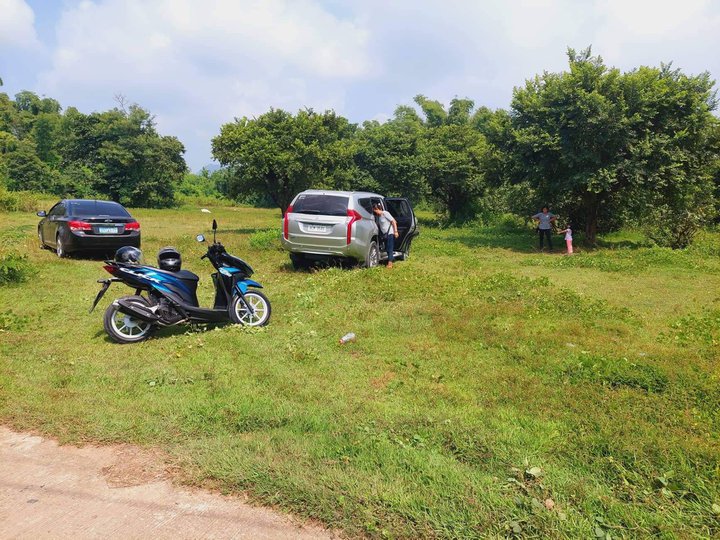 80000 sqm Residential Lot For Sale in Cuyapo Nueva Ecija [Lot 🚜