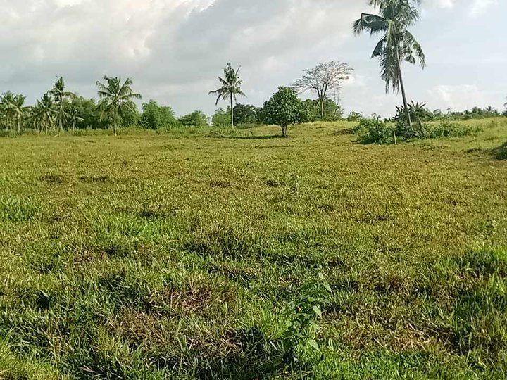 7.5 hectares Residential Lot For Sale in Toledo South Cebu