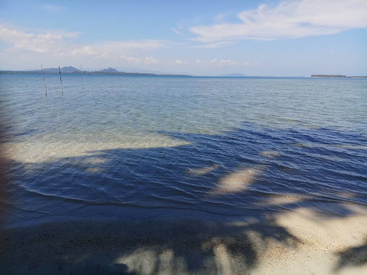 2.39 hectares Beach Property For sale on Palawan