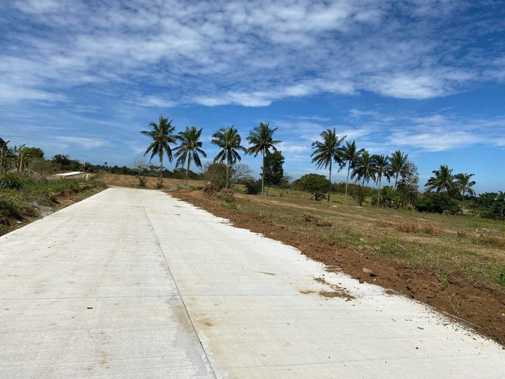 306 sqm Residential /Commercial Lot for Sale near FEU Silang cavite