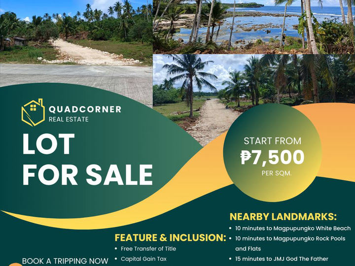 LOT FOR SALE SIARGAO SURFVIEW ESTATES - SURIGAO DEL NORTE