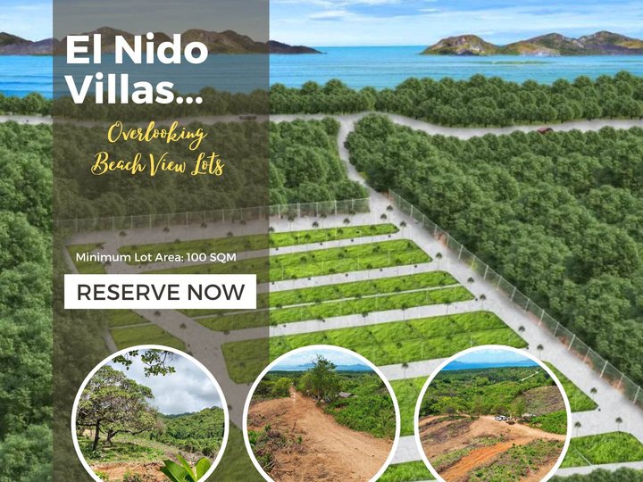 Residential Lot with overlooking view of the el nido beach