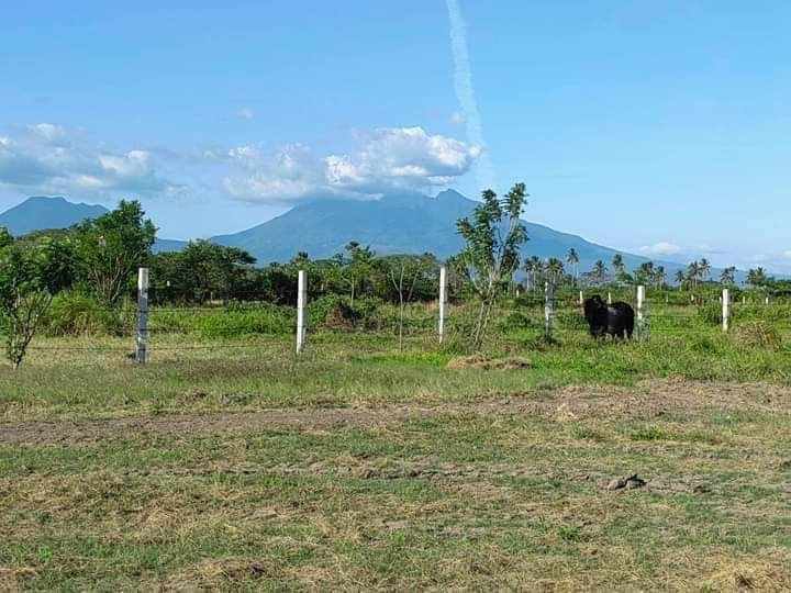 1,000 sqm Agricultural Farm For Sale in Tiaong Quezon