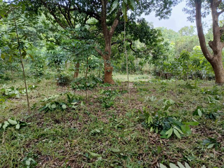 100 sqm residential farm for salein antipolo rizal