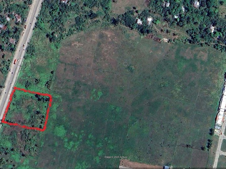 4,919 sqm Prime Residential or Commercial Lot For Sale by Owner in Carcar City, Cebu
