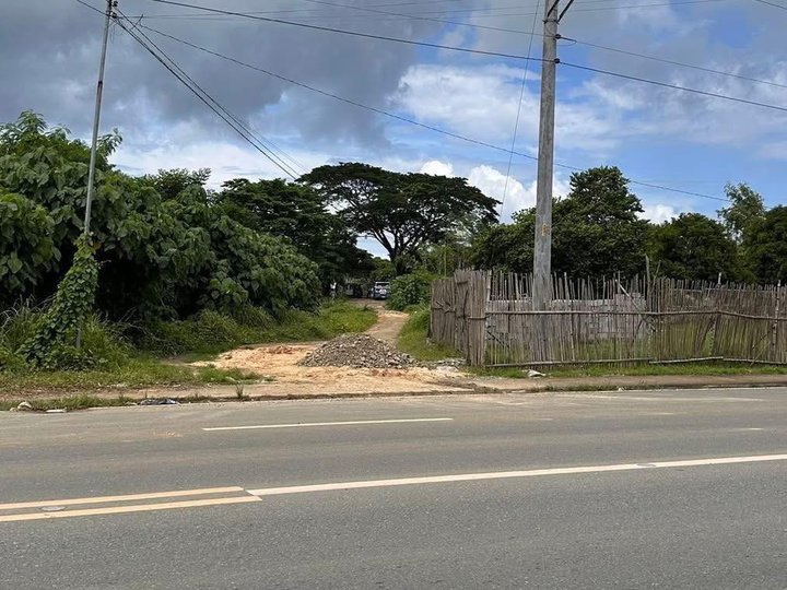 337 sqm Residential Lot For Sale in Alaminos Pangasinan