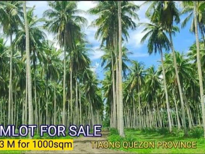 1000 sqm Agricultural Farm For Sale in Tiaong Quezon