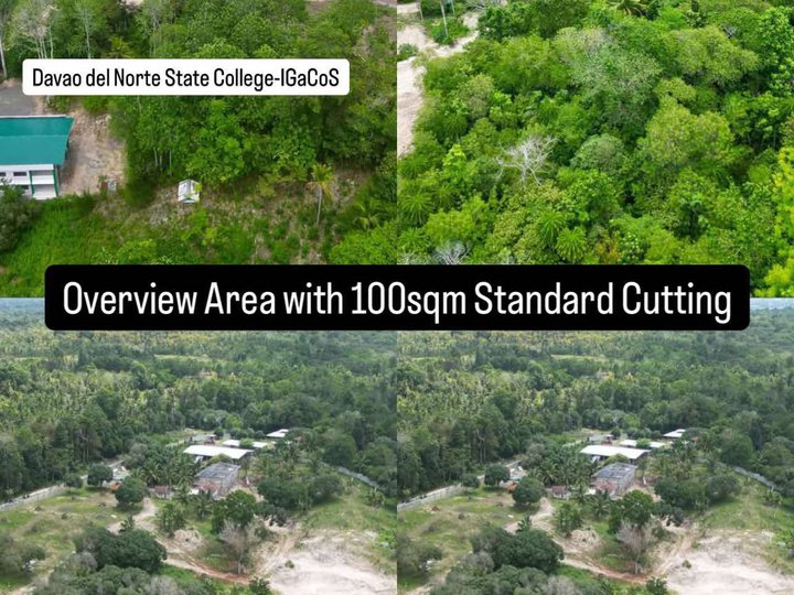 100 sqm Residential Lot For Sale in Samal Davao Del Norte