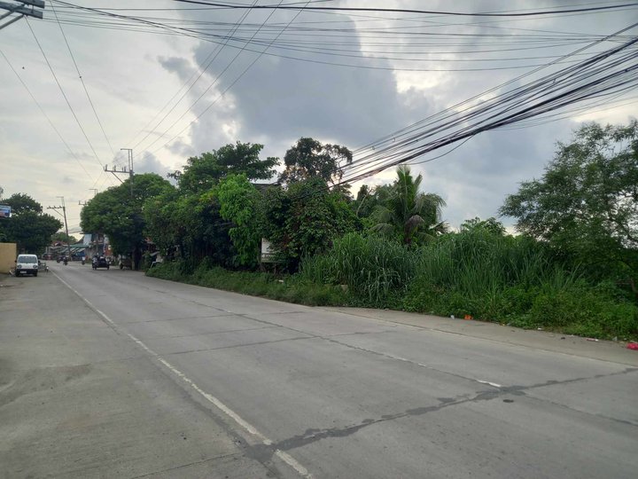 2.2 hectares commercial property lot for sale in santa maria bulacan