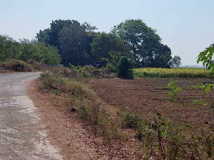 1.8 hectares Agricultural Farm For Sale in Balungao Pangasinan