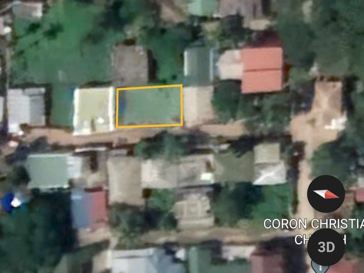 240 sqm Commercial Lot For Sale in Coron Town Proper