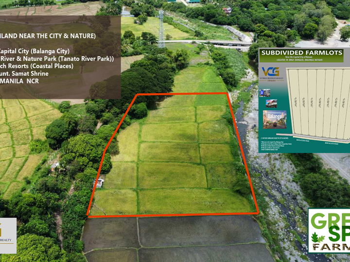 1,089sqm Farm lot for sale in Balanga Bataan