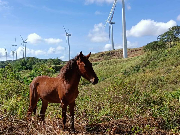 Wow sa ganda na view Affordable FarmLot Installment Sa Rizal,good for retirement and Investment