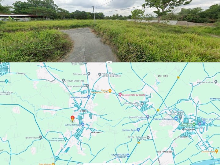 300 sqm Private Property Lot For Sale in Capas Near New Clark City
