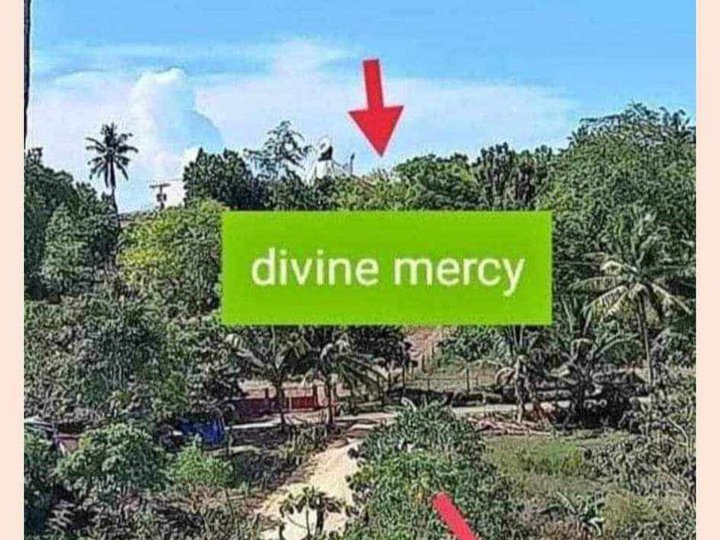 El Salvador Misamis Orient beside of Divine mercy shrine  Lot sale ins