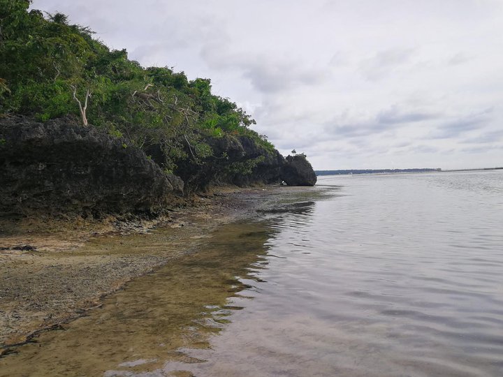 8,372 sqm Beach Property For Sale in Bolinao Pangasinan
